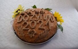 Święto Plon&oacute;w w obiektywie