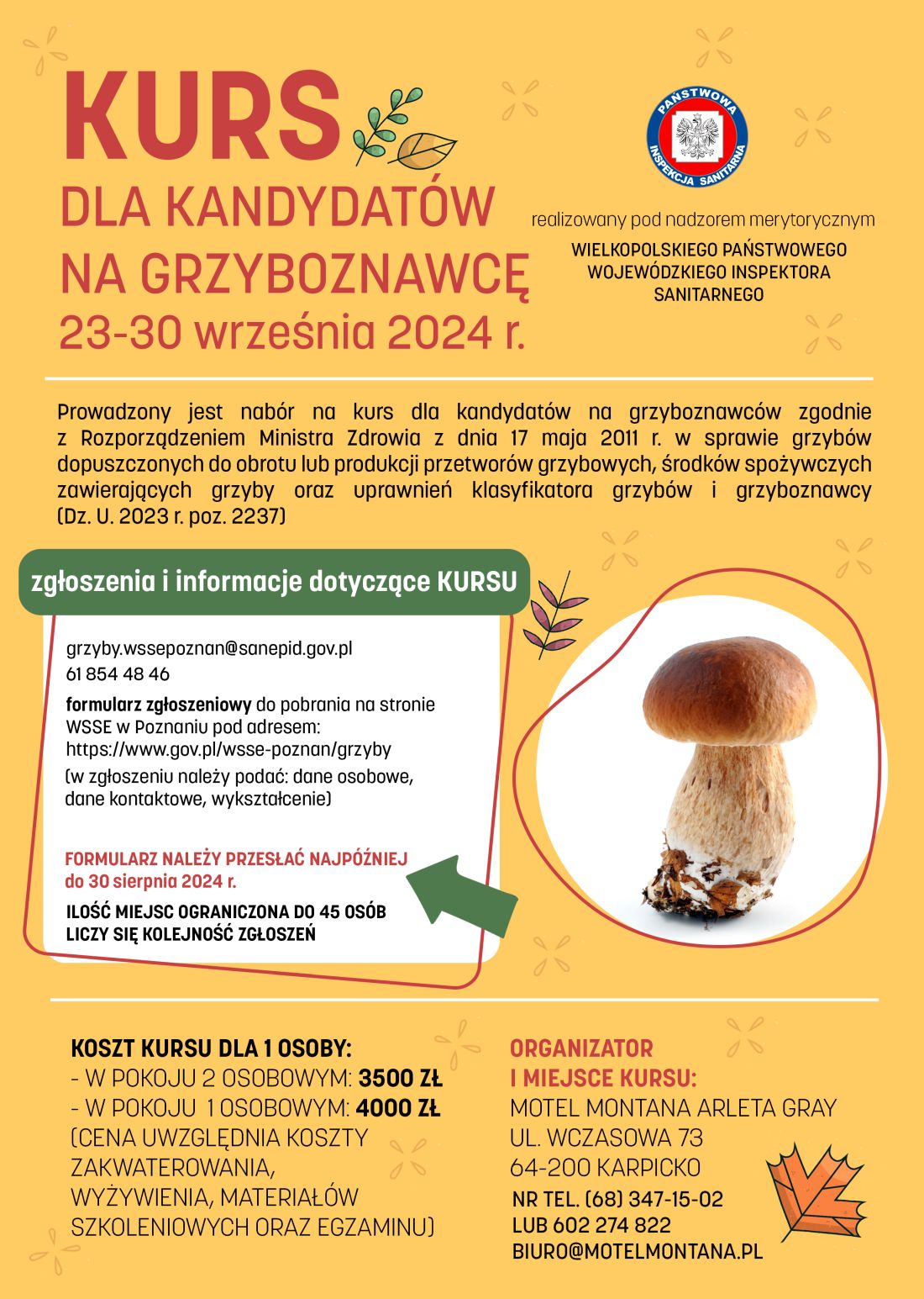 Kurs na&nbsp;grzyboznawcę