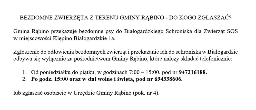 Zgłaszanie bezdomnych zwierząt