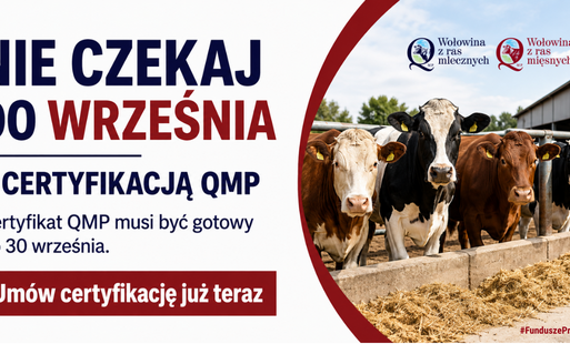 Informacja o systemie QMP