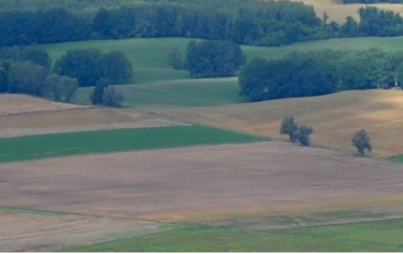 Zdjęcie do Badanie opinii rolnik&oacute;w - zagadnienia melioracyjne