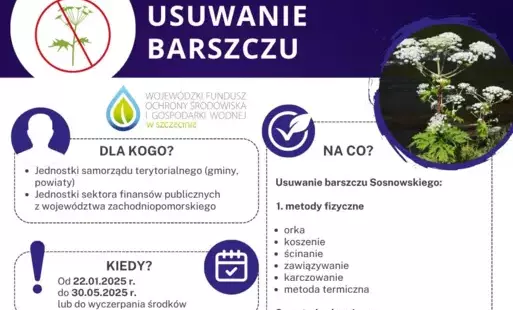 Zdjęcie do Przedłużony nab&oacute;r wniosk&oacute;w na usuwanie barszczu Sosnowskiego &ndash; do 30 maja 2025 r.